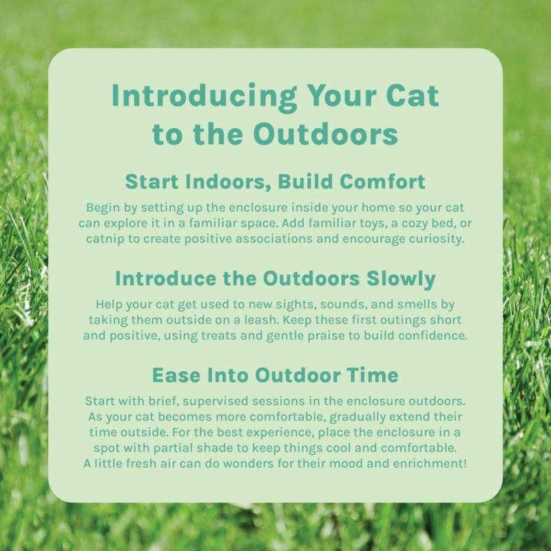 Kit de Juego y Catio Exterior para Gatos Kitty City