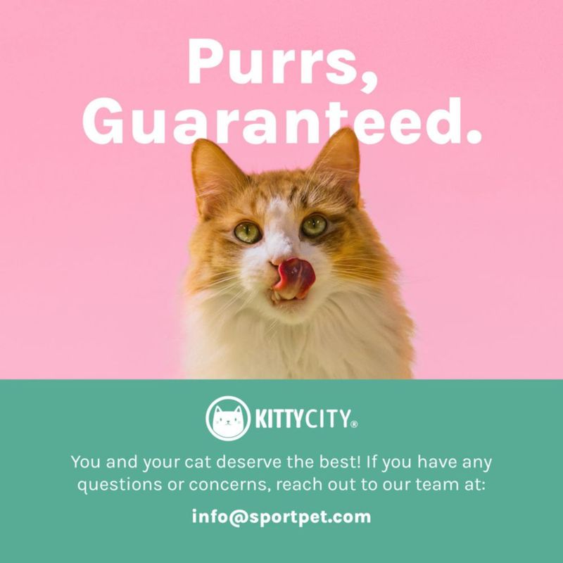 Kit de Juego y Catio Exterior para Gatos Kitty City