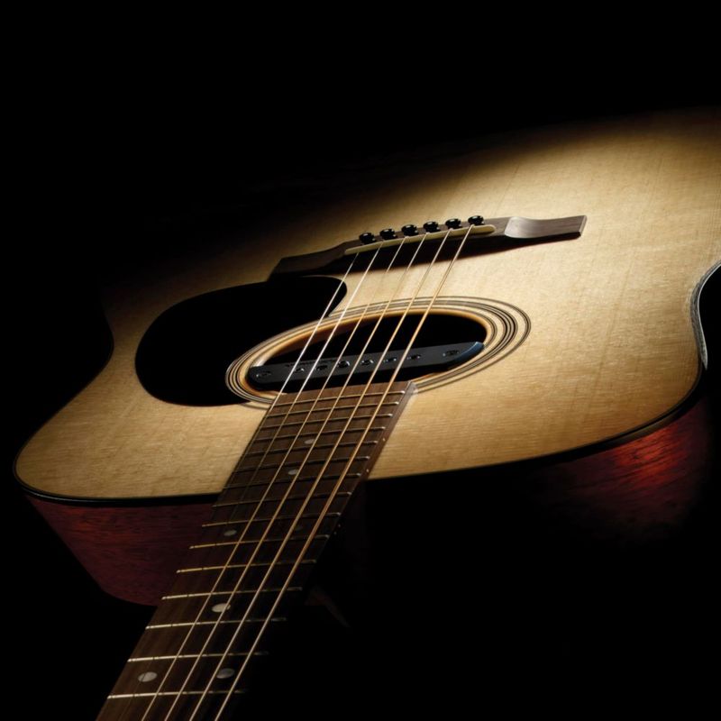 Fishman Blackstack Pastilla Pasiva para Boca de Resonancia