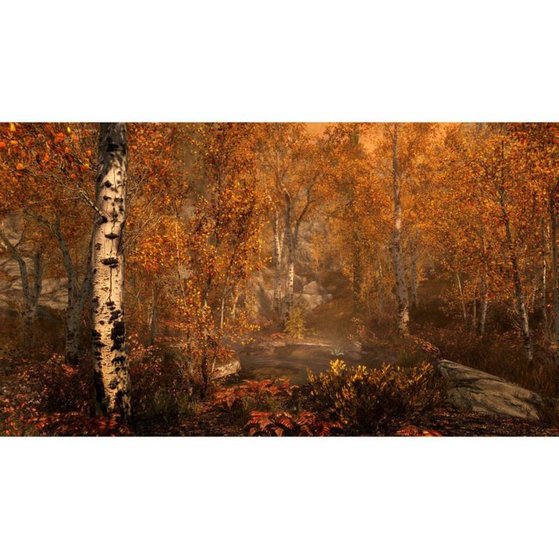Videojuego Bethesda Skyrim Edición Especial PS4