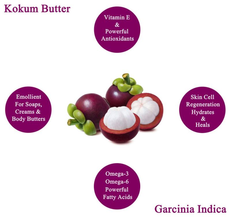 Manteca de Kokum Plant Guru 227 g Natural prensada en frío