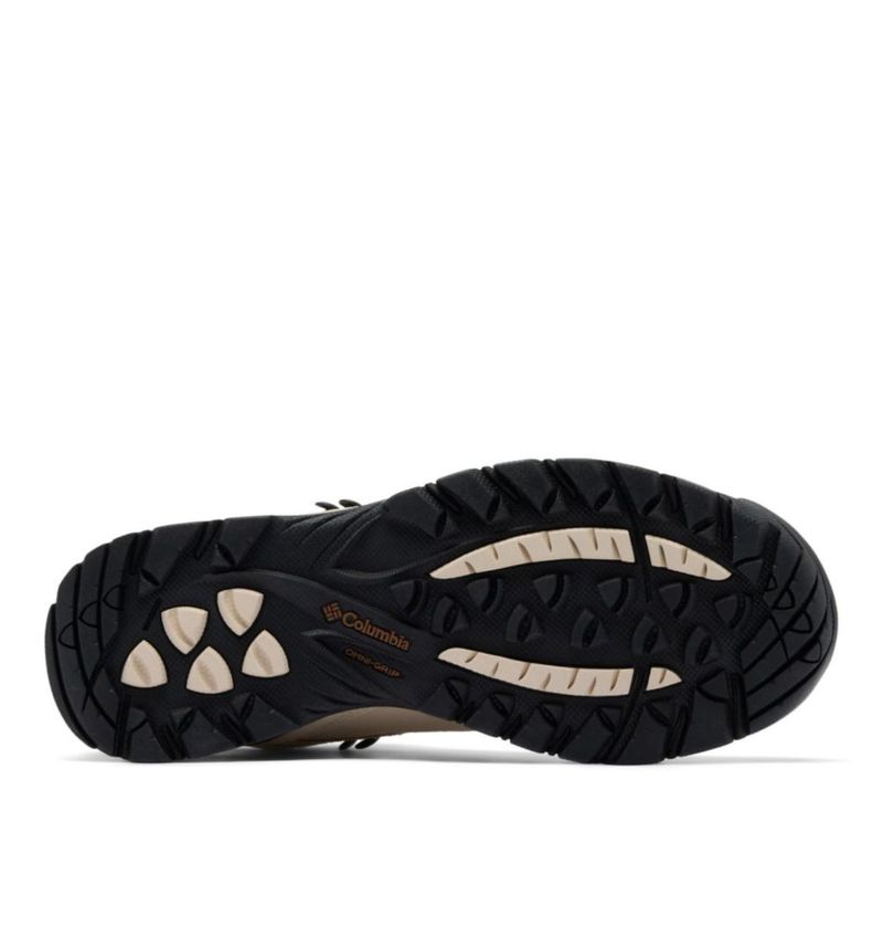 Bota Columbia Newton Ridge Plus Waterproof Amped