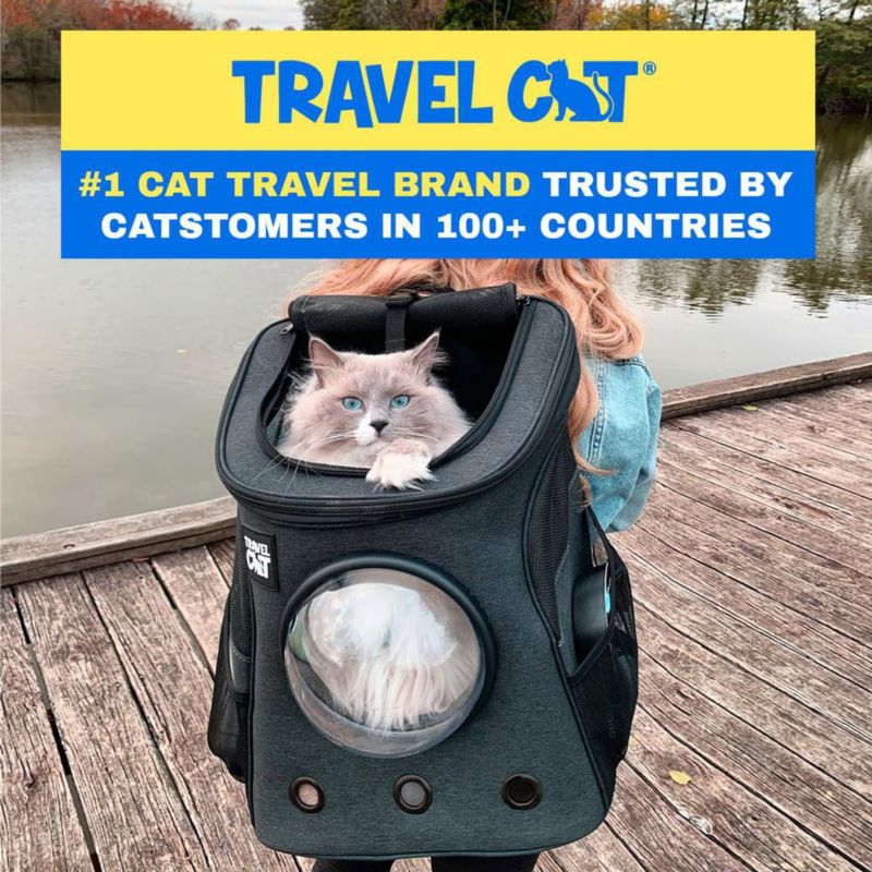 Mochila transportadora para gatos The Fat Cat aprobada por aerolíneas con ventana burbuja