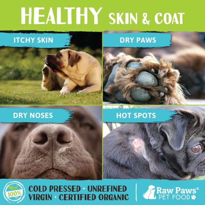 Aceite de coco Raw Paws Organic Virgin para perros y gatos 240 ml