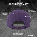 Gorra Legacy Washington Huskies color del equipo