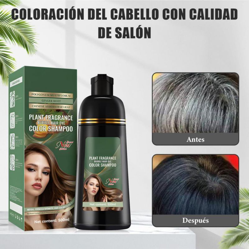Shampoo para Canas RUIAO 3 en 1 Tinte Instantáneo 500ml Negro