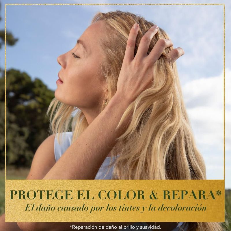 Acondicionador Bio Renew 6X Aloe Sea Kelp Protección del Color Herbal