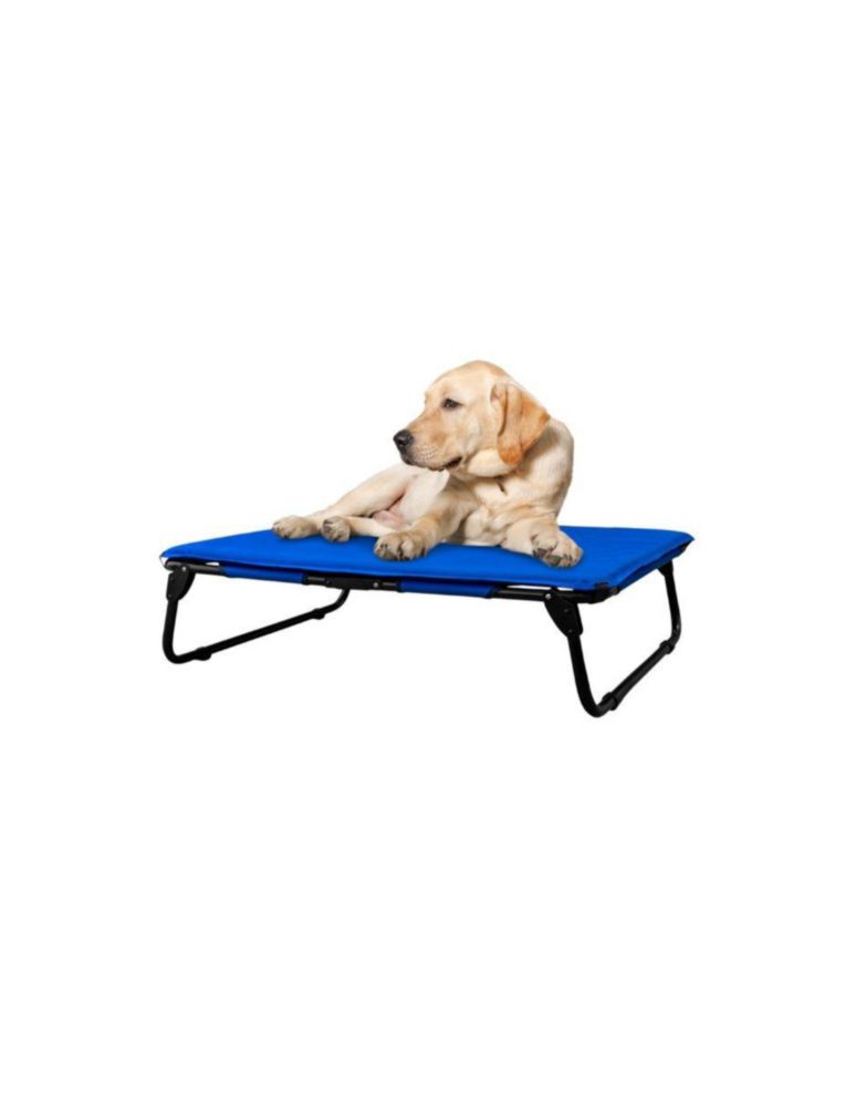 KIT Catre/Cama + Colchoneta Pegaso para Mascotas grande. Modelo KIT KM-GD Azul Rey