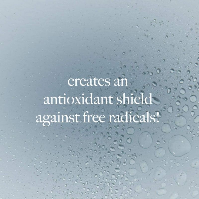 Spray tónico Dermalogica Antioxidant Hyramist 30 ml Antienvejecimiento