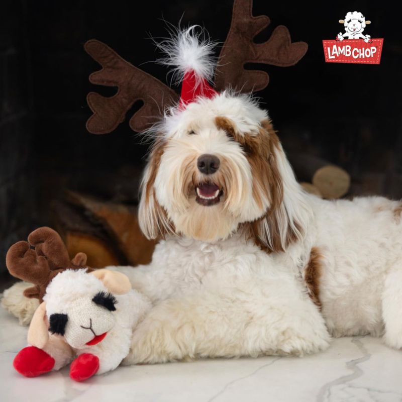 Peluche de Cordero para Perro Multipet con Gorro Navideño y Sonido Chirriante