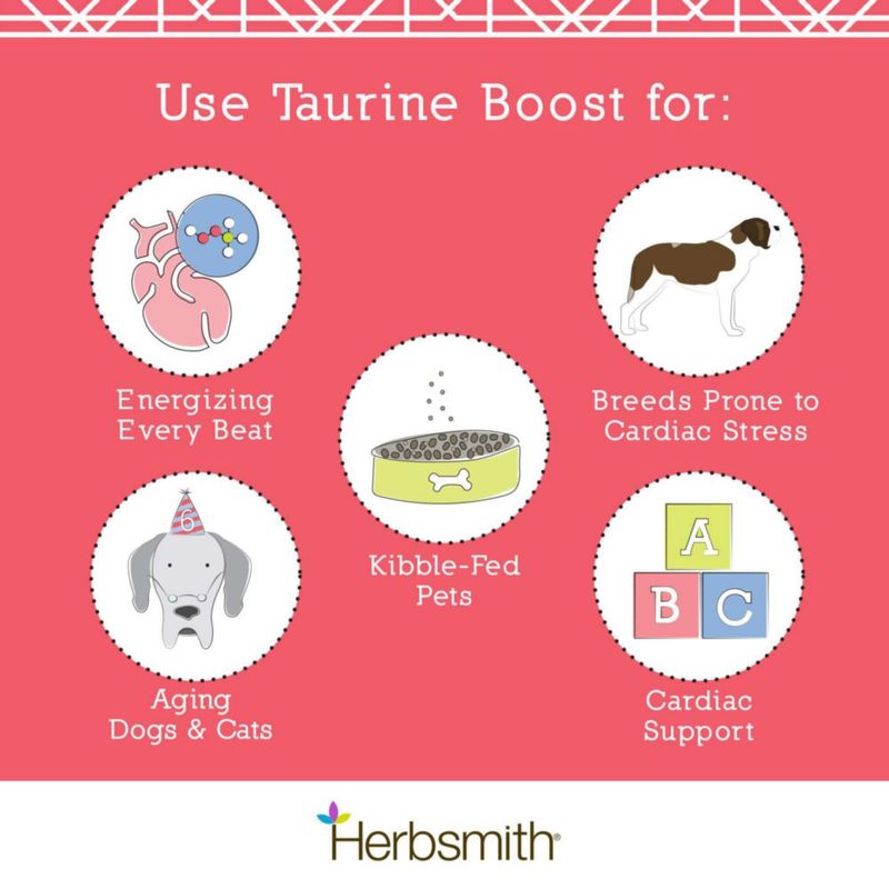 Taurine Boost Herbsmith 150 g Salud del Corazón para Perros y Gatos
