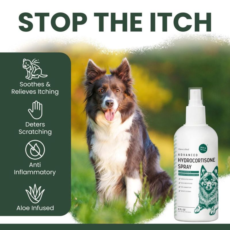 Spray Chew + Heal Labs Hidrocortisona 118 ml para perros