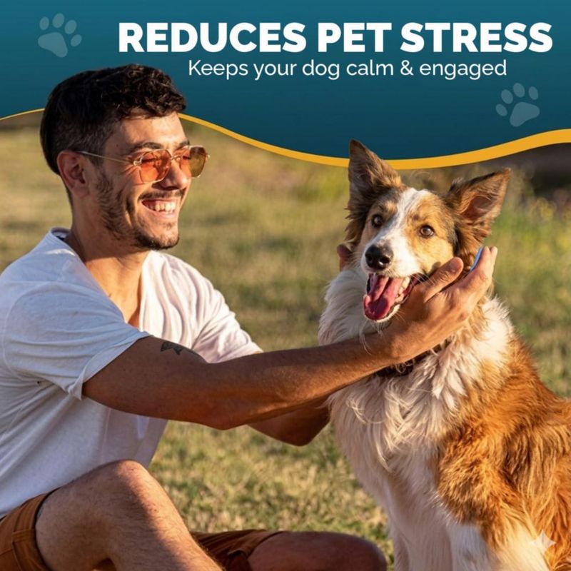 Alfombra de Olfateo PET ARENA – Juguete Interactivo de Alimentación para Perro
