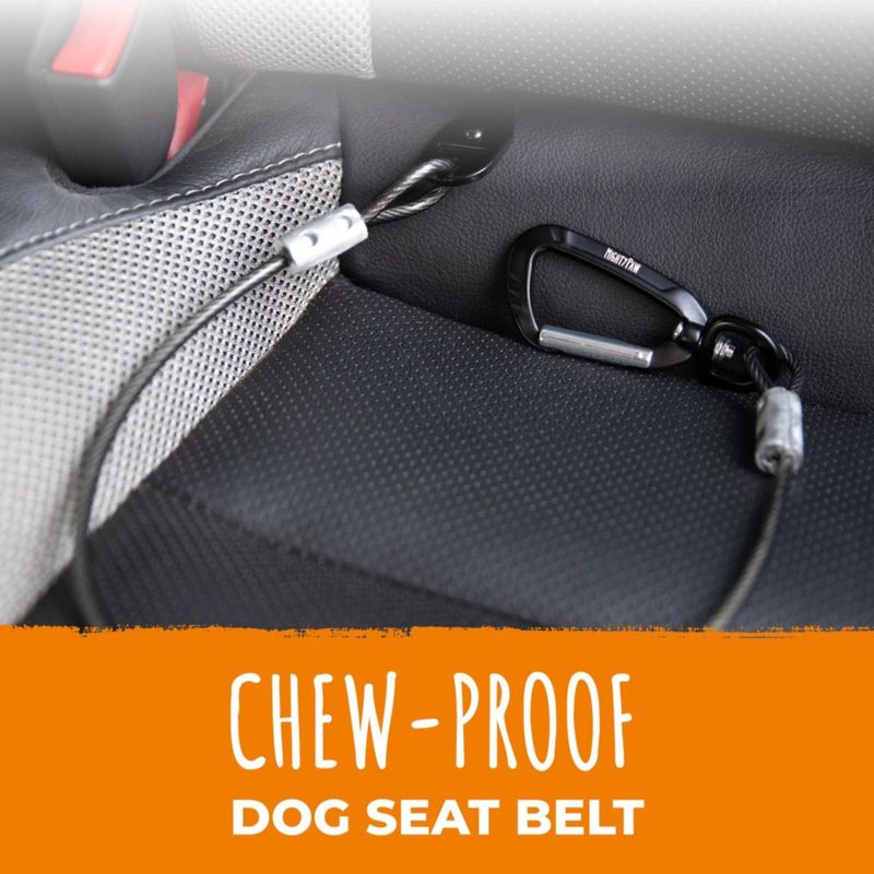 Cinturón de Seguridad para Perro Mighty Paw a Prueba de Masticación 382 kg