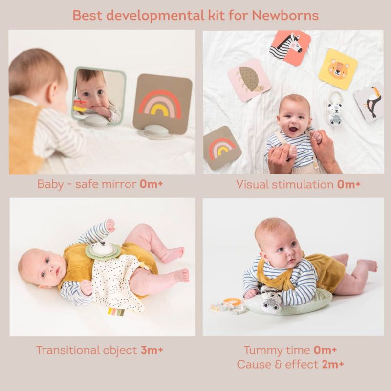 Kit de juguetes de desarrollo Taf Toys para recién nacidos con 12 juguetes esenciales