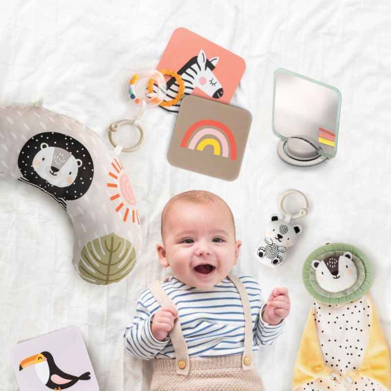 Kit de juguetes de desarrollo Taf Toys para recién nacidos con 12 juguetes esenciales