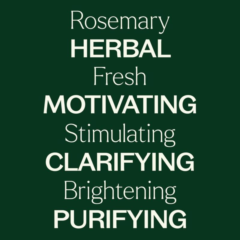 Hidrosol Plant Therapy 118 ml Romero (4 oz)