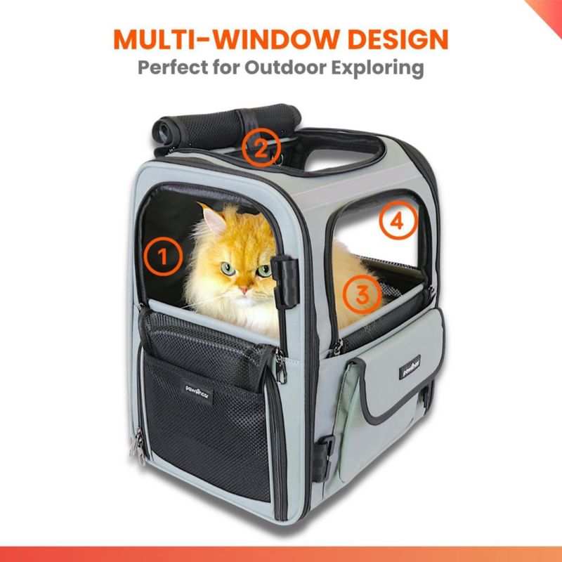 Mochila portadora para perros pawsincar probada en choque y con asiento de coche