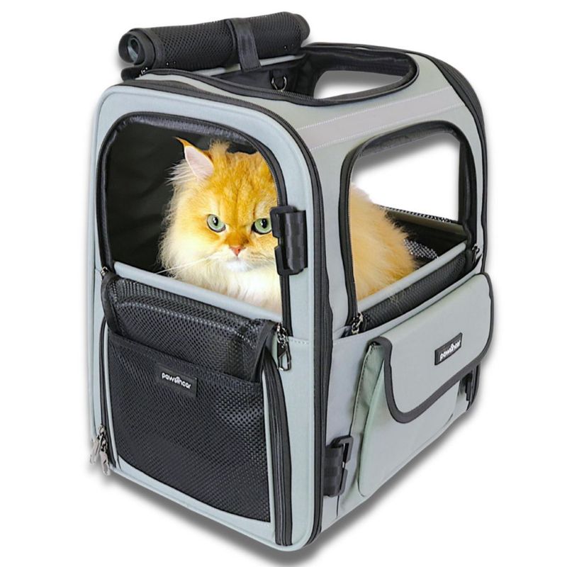 Mochila portadora para perros pawsincar probada en choque y con asiento de coche