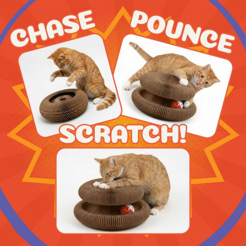 Rascador para Gatos Kitty&Scratch 21 cm Plegable con Bola