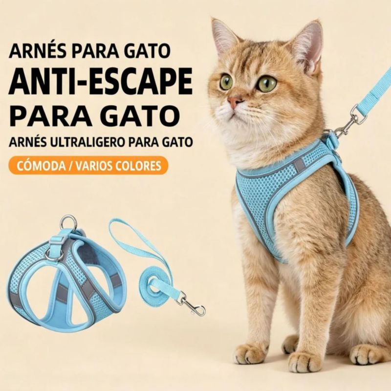 Pechera Arnés Correa Para Perros Y Gatos Muy Cómoda 2 Pzs Negro-Azul