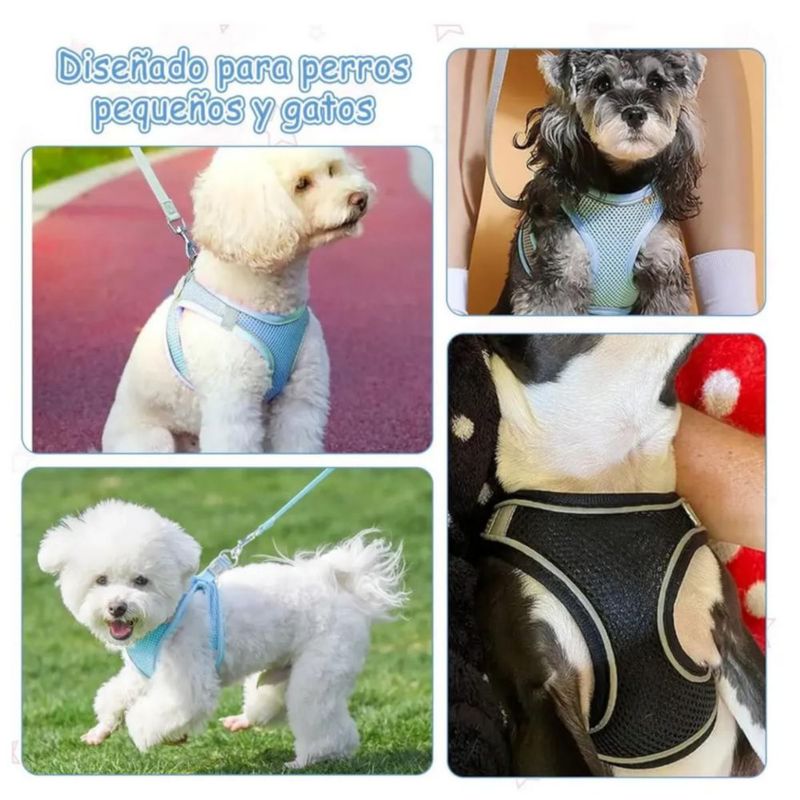 Pechera Arnés Correa Para Perros Y Gatos Muy Cómoda 2 Pzs Negro-Azul