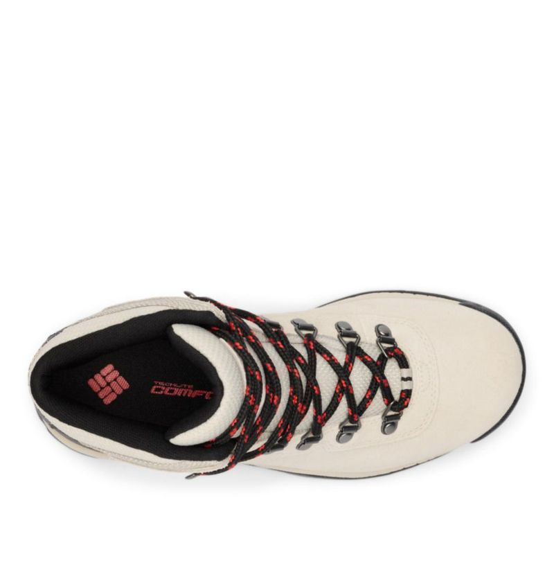 BOTAS Columbia Newton Ridge 5.5 Impermeables Amped para mujer