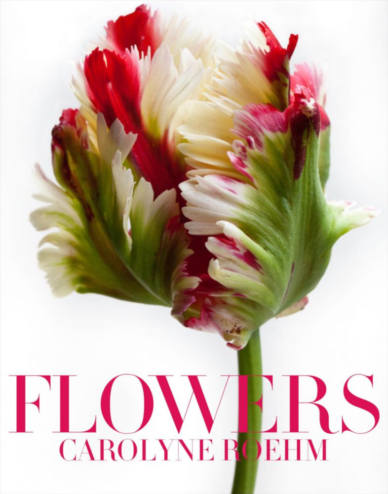Flores CROWN ABIS_BOOK