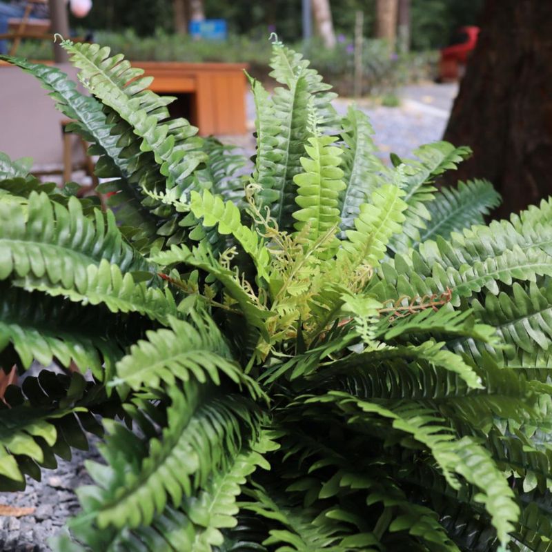 Planta artificial zooFernzoom 173 cm – Helecho grande
