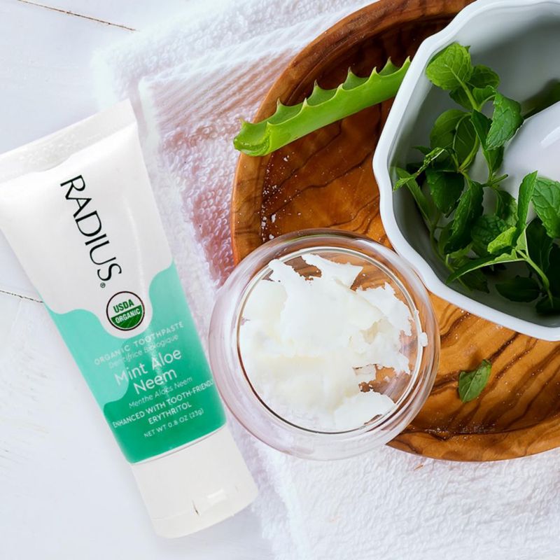 Pasta de dientes RADIUS 85 g Menta Aloe y Neem (2 unidades)