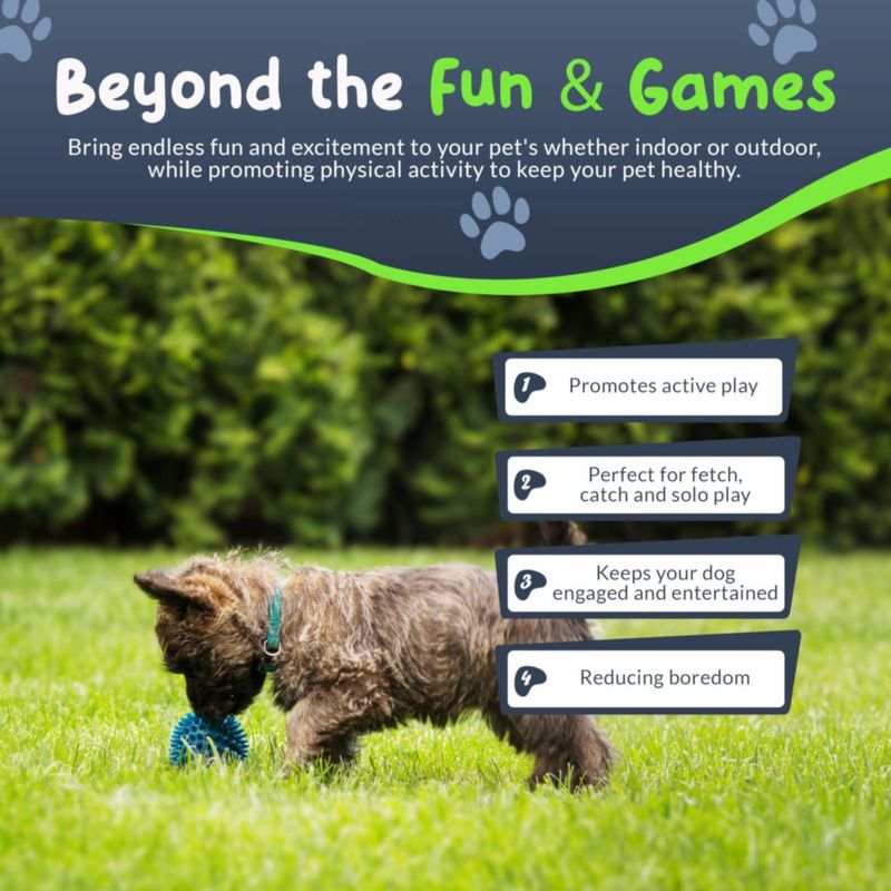 Pelotas para perros pequeños Petite Paws 45 cm con chirrido - Pack de 8