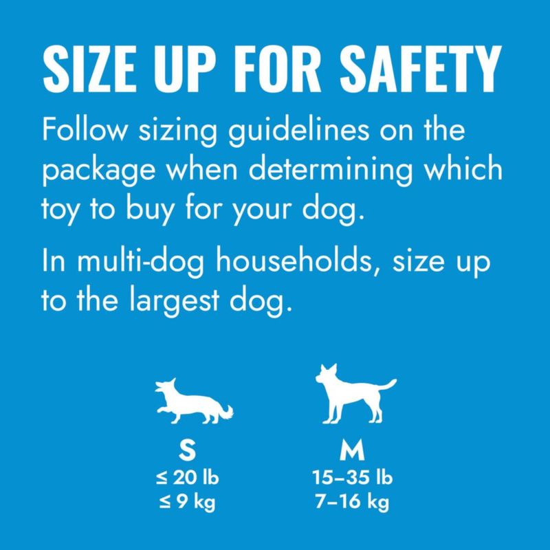 Pelota de actividad KONG para cachorros – Goma natural azul