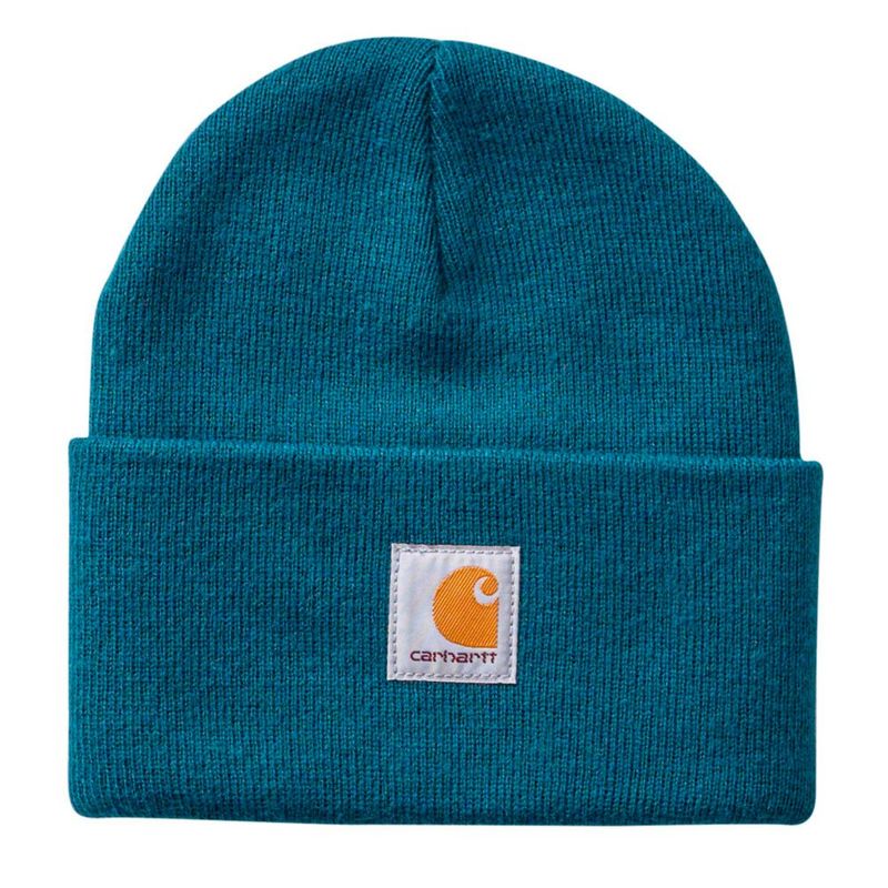 Gorro Carhartt talla única Reflecting Pond