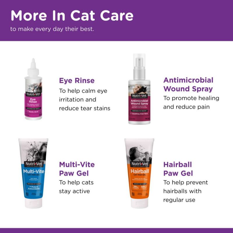 Suplemento para Gato Nutri-Vet 85 g Gel de Arándano para la Pata