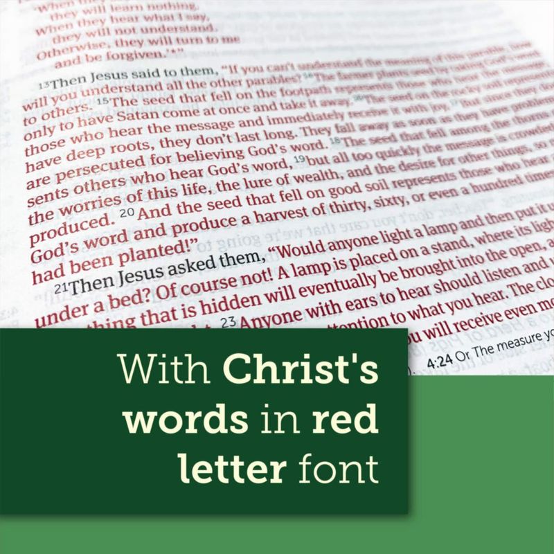 Biblia de Estudio Tyndale House con Índice y Texto en Letras Rojas