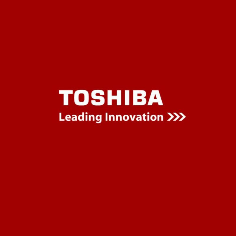 Batería TOSHIBA 23A 12 V 795 g (pack de 4)