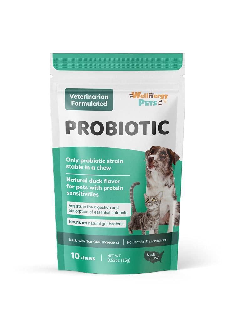 Snack blando probiótico Wellnergy Pets 60 unidades para la salud digestiva