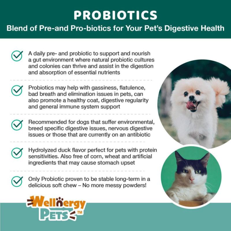 Snack blando probiótico Wellnergy Pets 60 unidades para la salud digestiva