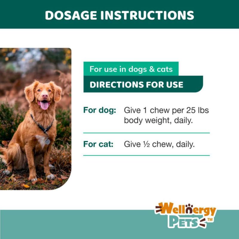 Snack blando probiótico Wellnergy Pets 60 unidades para la salud digestiva