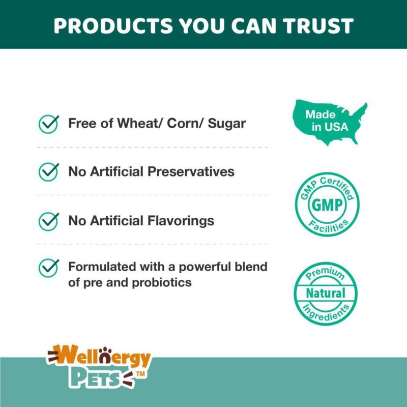 Snack blando probiótico Wellnergy Pets 60 unidades para la salud digestiva