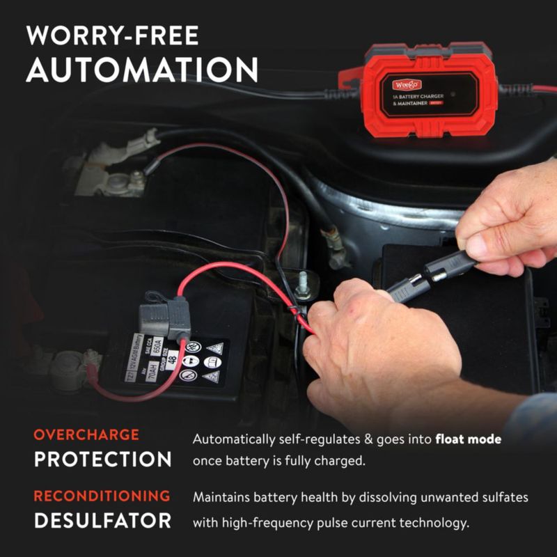 Cargador de Batería Weego 6V/12V de Mantenimiento IP65