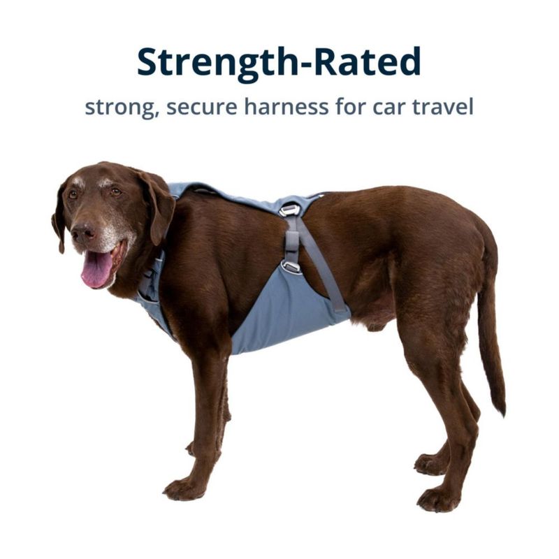 Arnés para perro Ruffwear Load Up azul pizarra talla pequeña