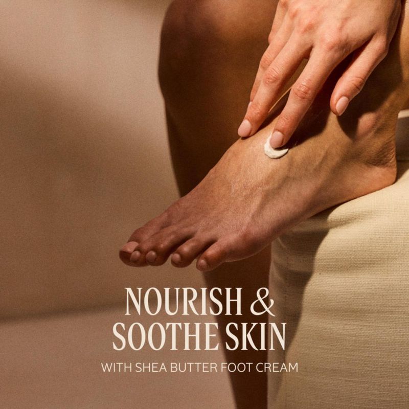 Set de Regalo Shea Classics de L'OCCITANE – Crema Hidratante
