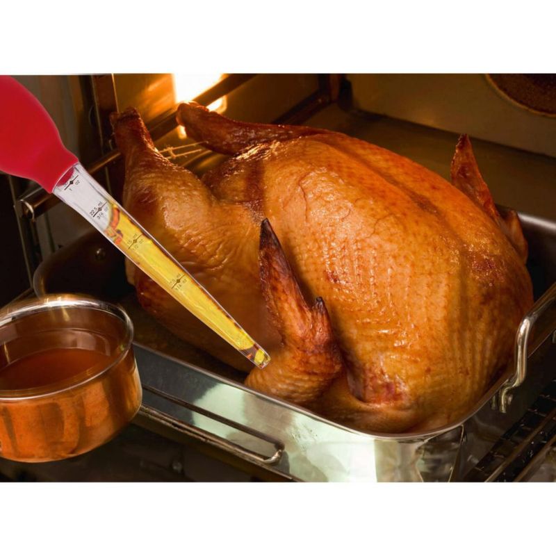 Bastón de Asado para Pavo HIC Kitchen 30 cm 30 ml Silicona