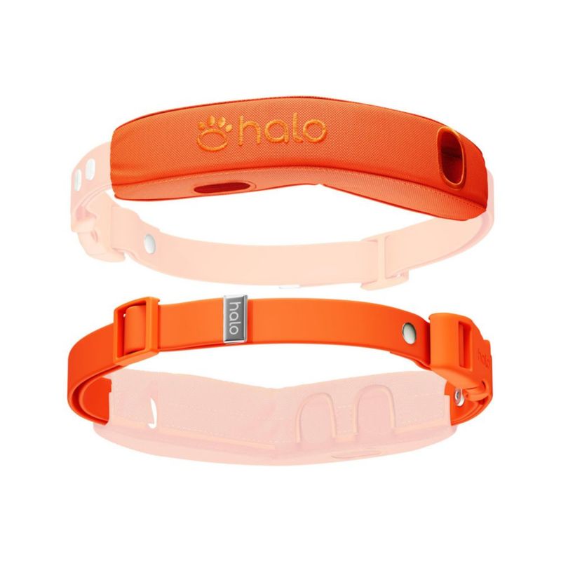 Funda Pro para Collar Halo 5 + Kit de Correa Blaze