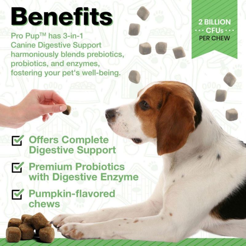 Probióticos para Perros Pawlife Pro Pup 60 Masticables Suaves con Calabaza