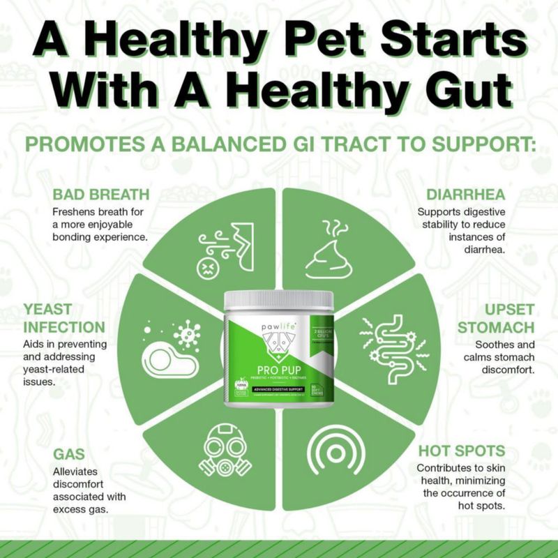 Probióticos para Perros Pawlife Pro Pup 60 Masticables Suaves con Calabaza