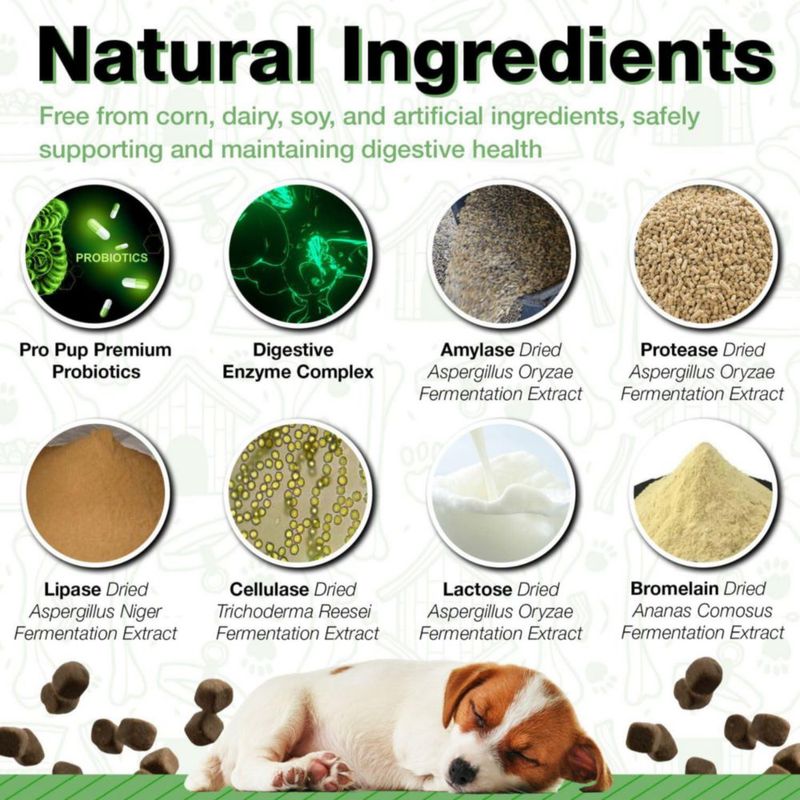 Probióticos para Perros Pawlife Pro Pup 60 Masticables Suaves con Calabaza