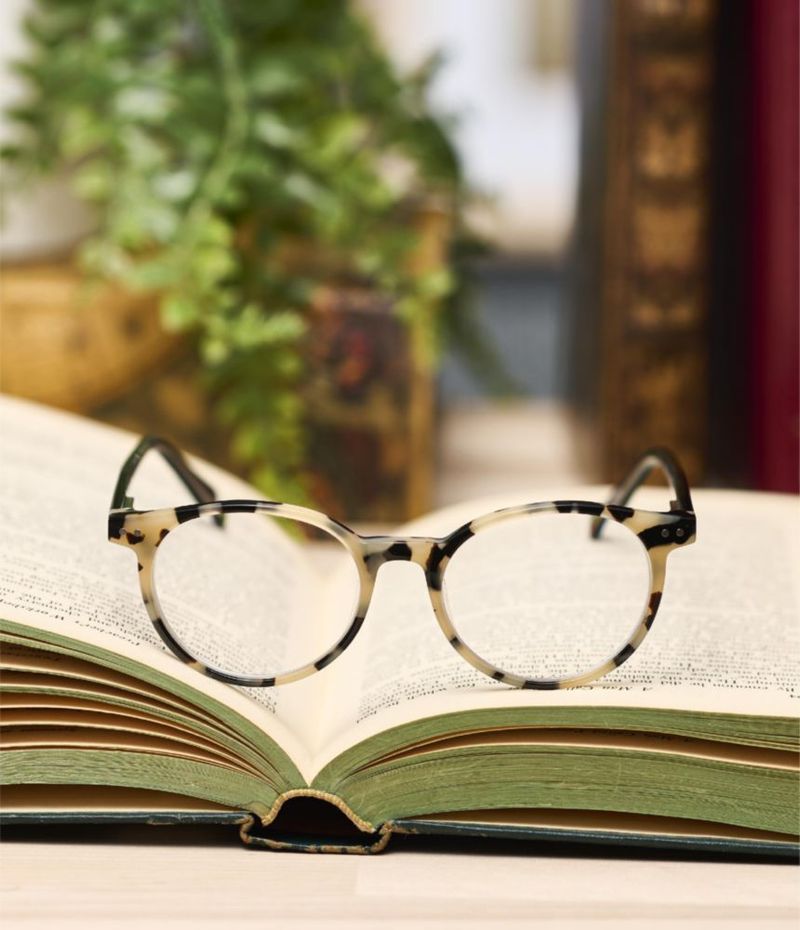 Lentes de Lectura eyebobs Case Closed Montura Redonda Negra