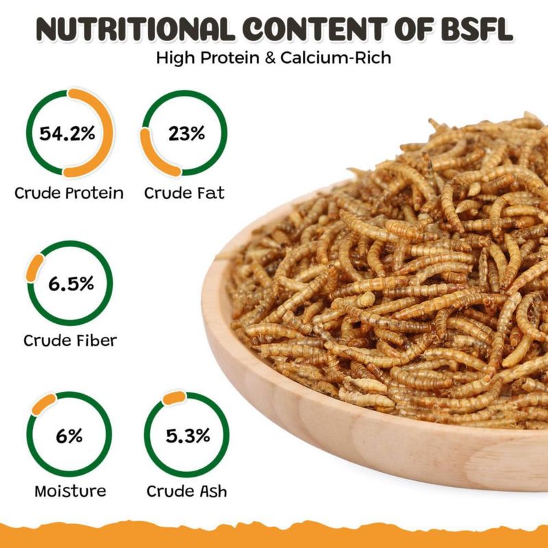 Alimento para Mascotas BENEYUMI Gusanos de Harina Secos 4.5 kg Proteína Natural